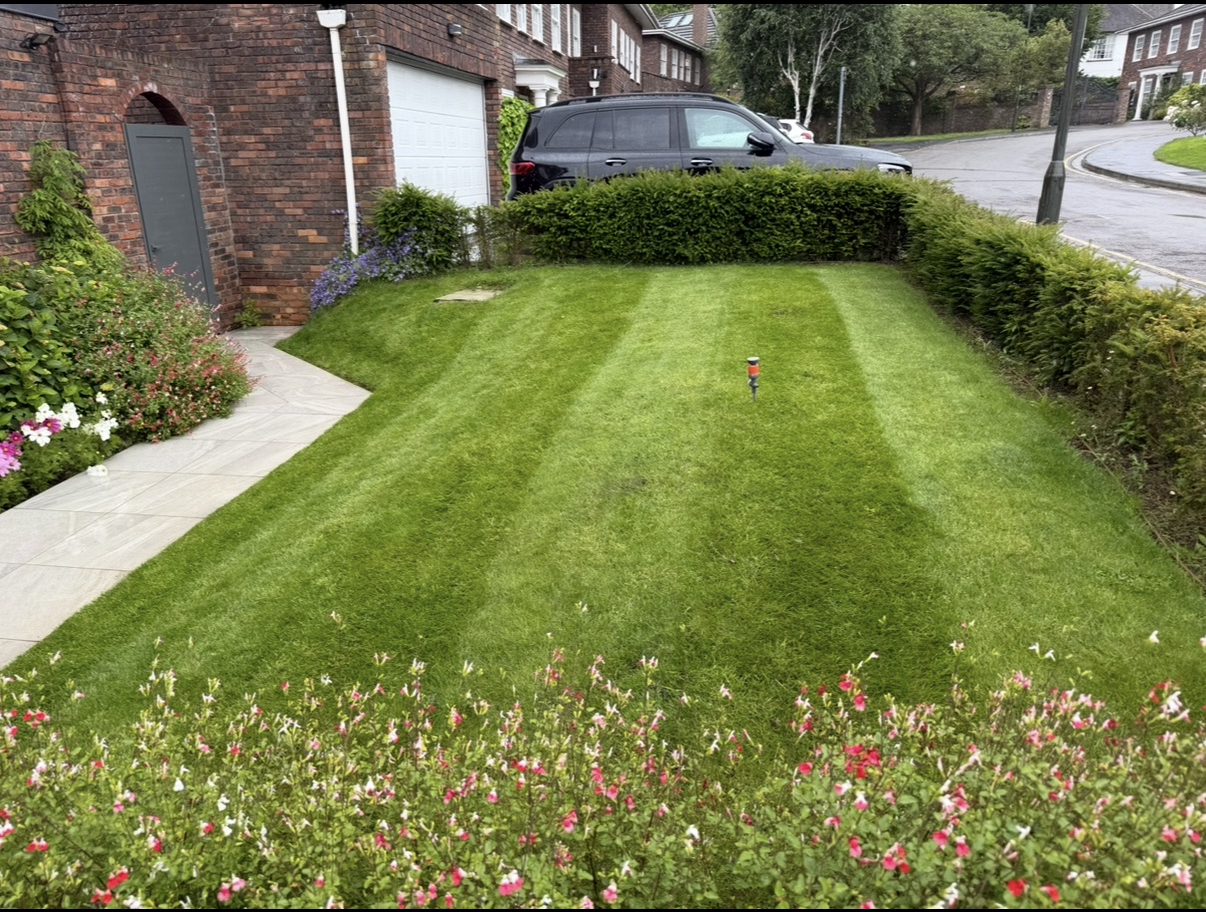 Front lawn mowed and edged