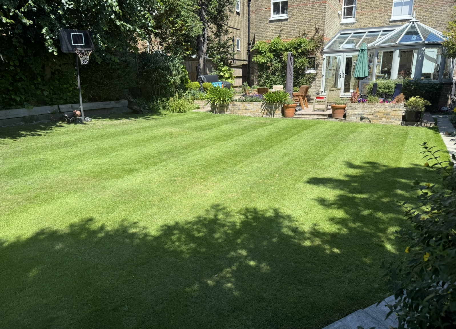 Family lawn mowed, edged and tidy